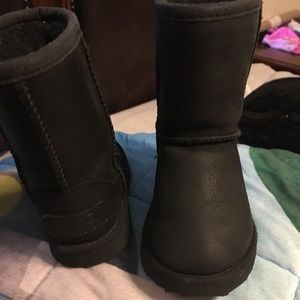 Toddler UGGs